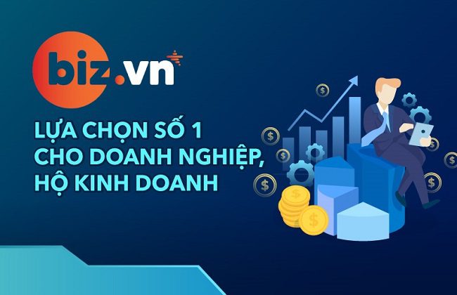 TÊN MIỀN .BIZ.VN LÀ GÌ?