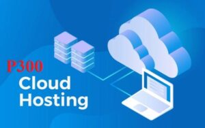 PRO HOSTING (P300)