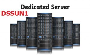 DSSUN 1