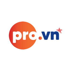 Tên miền .pro.vn
