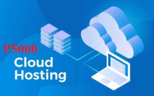 PRO HOSTING (P5000)